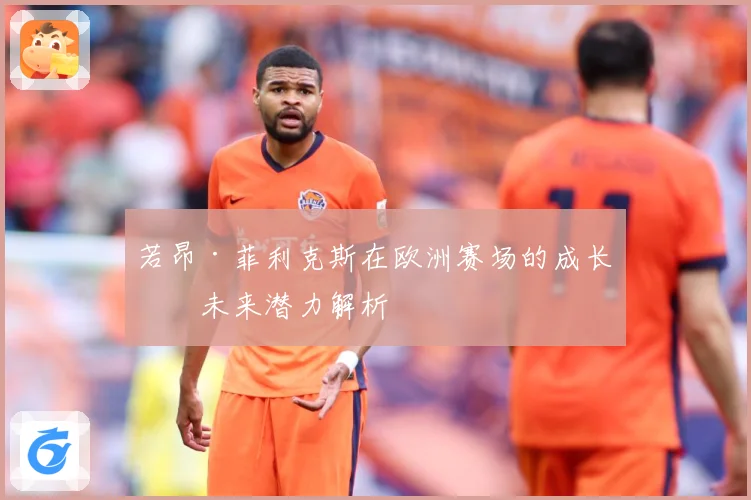 若昂·菲利克斯在欧洲赛场的成长与未来潜力解析